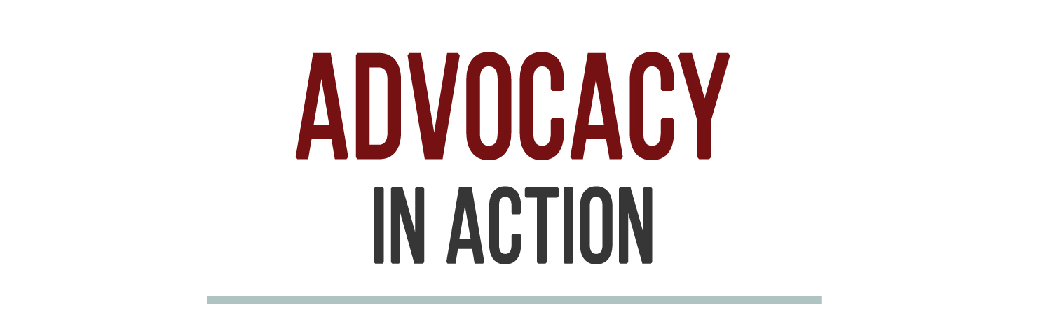 Advocacy in Action image