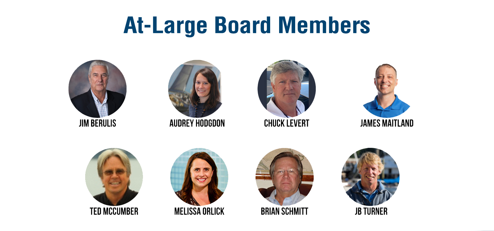 USSA At Large Board Members