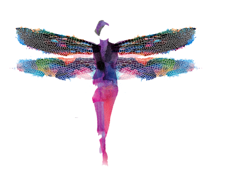 Dragonfly Alone Dragon Fly image