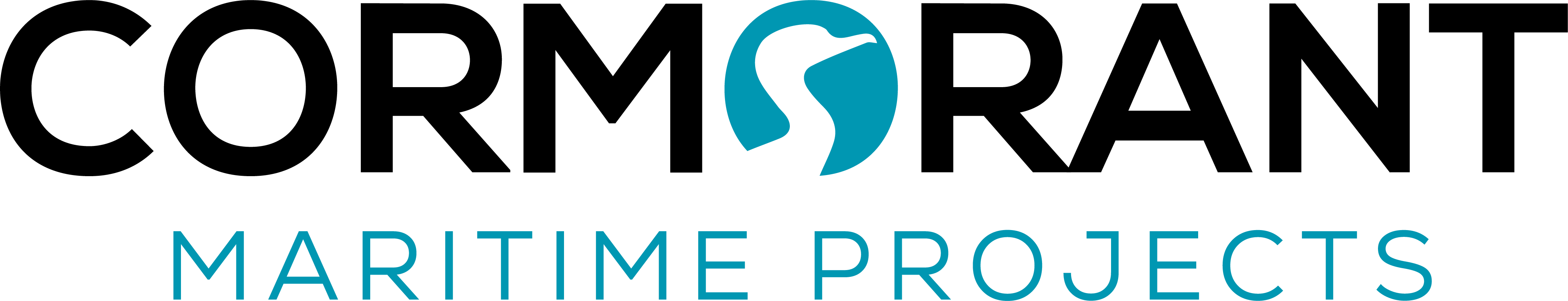 Logo Transparency 1 Cormororant Logo